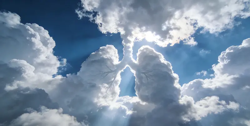 安庆肺癌靶向120基因检测（组织）检测图1