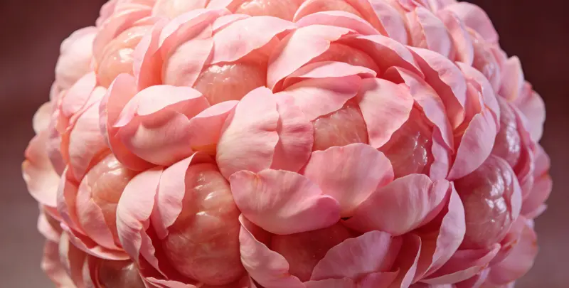 安庆乳腺/卵巢癌靶向120基因检测及PDL122C3表达检测套餐（组织）检测图1