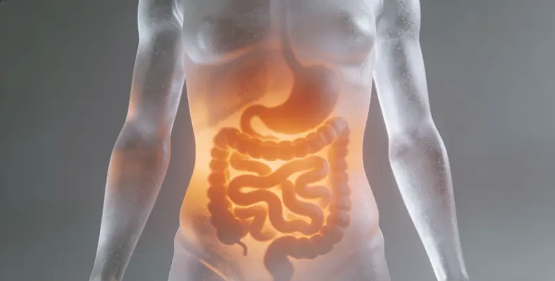 安庆胃癌全面用药基因检测（组织）检测图1